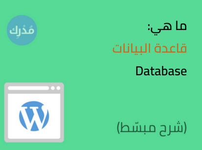 ما هي قاعدة البيانات Database في ووردبريس- بالتفصيل